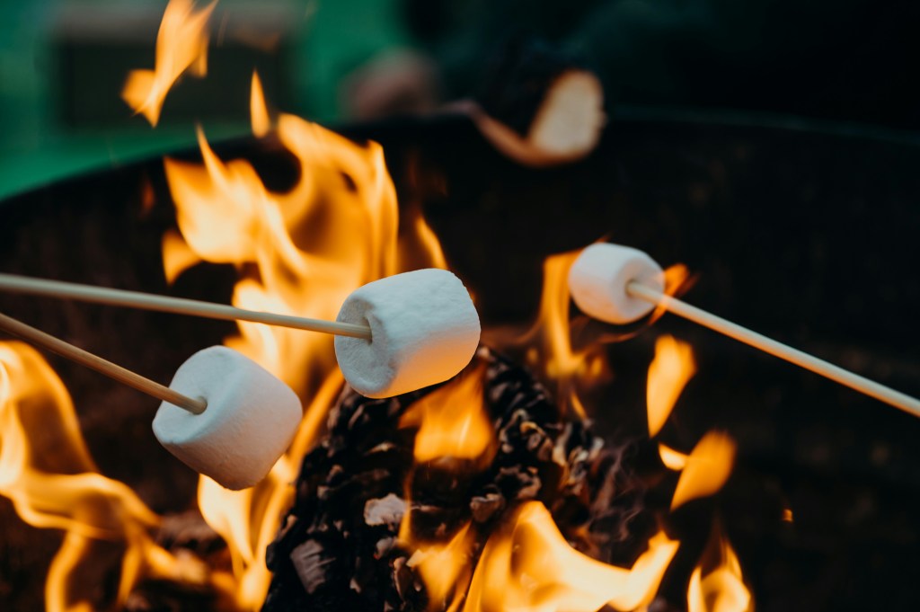 Three marshmallows on skewers, being roasted over a fire. 