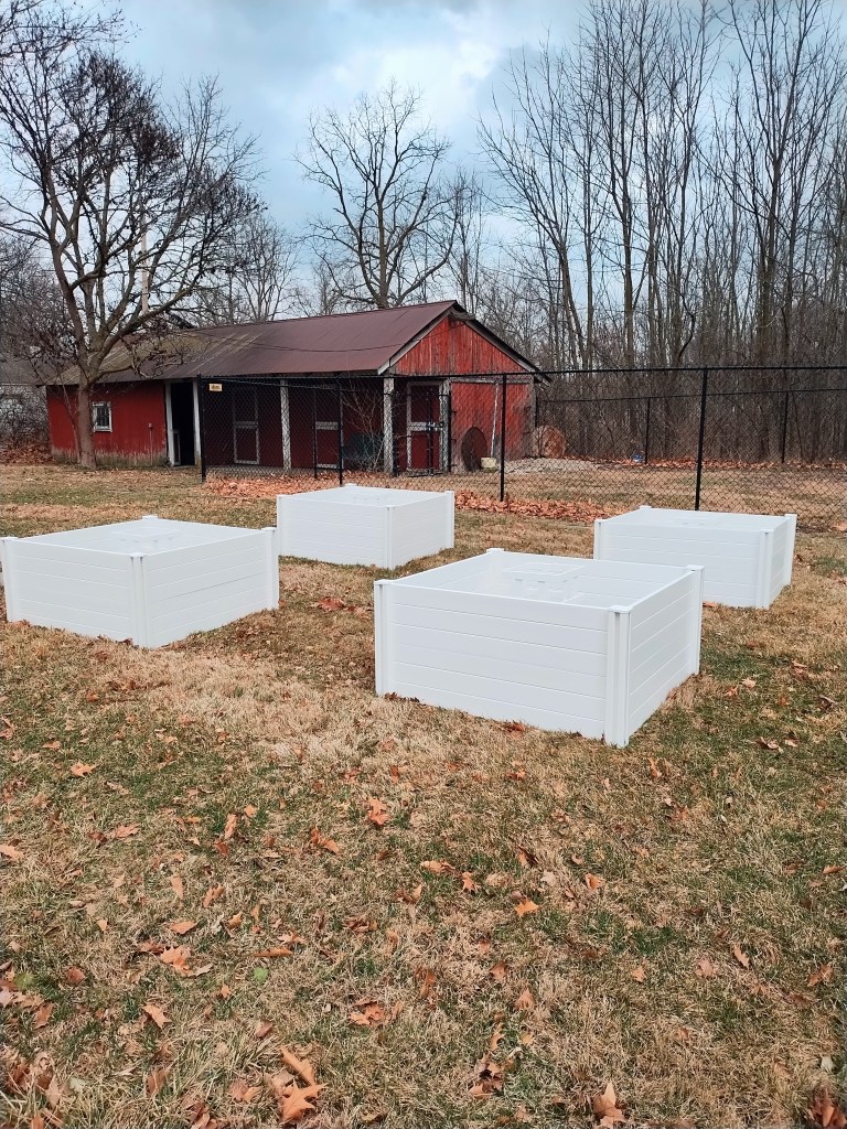 Four white square-shaped raised garden beds sit in front of a red stable block. There is a fenced area behind, and the surrounding trees are bare in early spring.