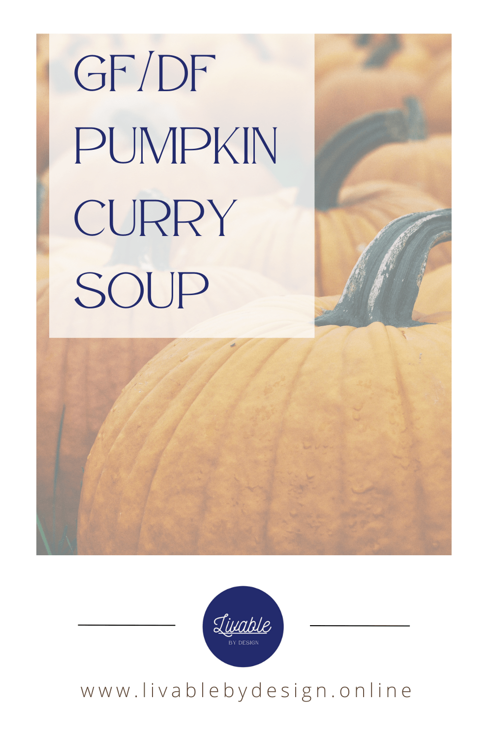 GF/DF Pumpkin Curry&nbsp;Soup
